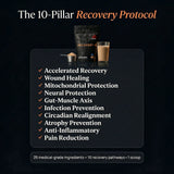 10 Pillars of Recovery Protocol