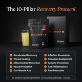The 10 pillar recovery protocol